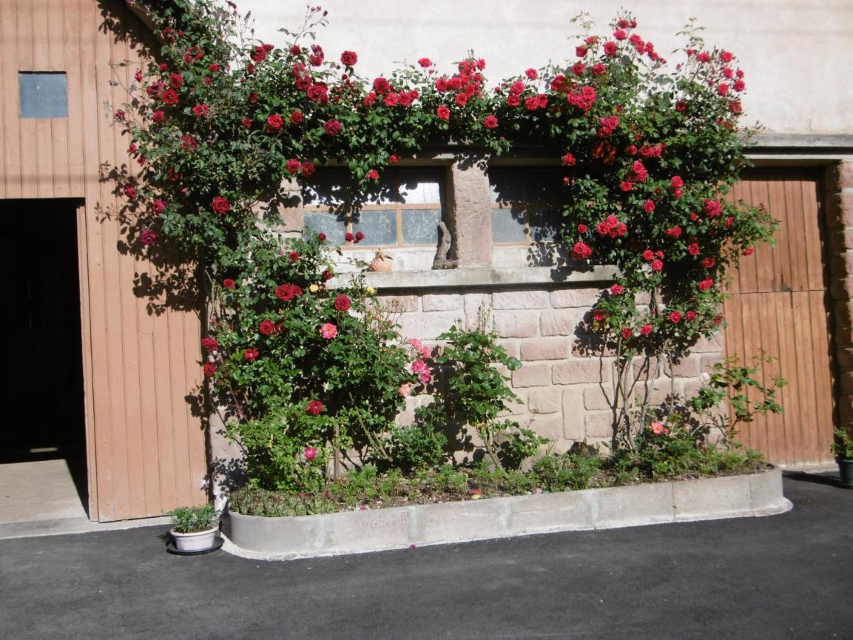 Chez Catherine Et Roger Brouvelieures Dış mekan fotoğraf